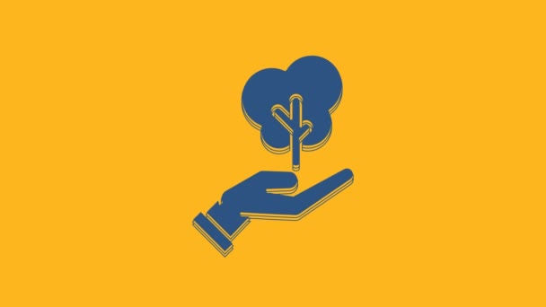蓝树手握环保图标 用橙色背景隔开 种子和幼苗 种植树苗 生态概念 4K视频运动图形动画 — 图库视频影像