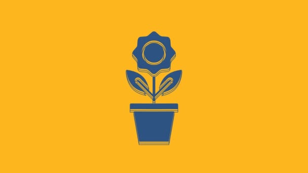 蓝色花朵在罐子图标孤立在橙色背景 植物生长在一个罐子里 盆栽标志 4K视频运动图形动画 — 图库视频影像