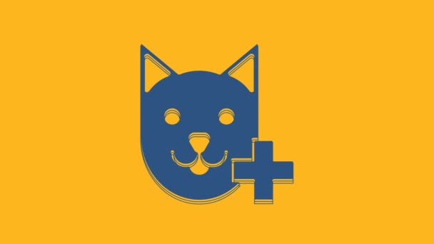 Modrá Ikona Symbolu Kliniky Izolovaná Oranžovém Pozadí Kříž Kočičí Veterinární — Stock video