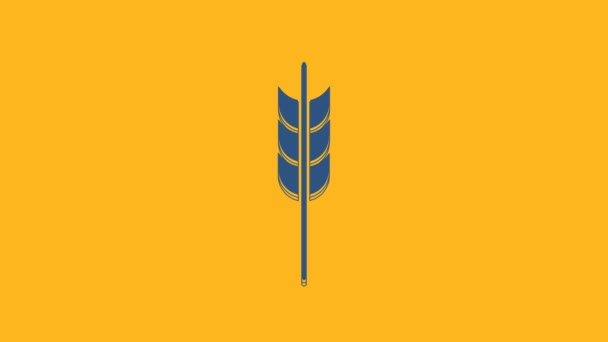 Modrá Obiloviny Posázené Rýží Pšenicí Kukuřicí Ovsem Žitem Ikonou Ječmene — Stock video