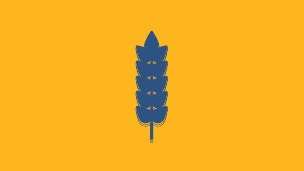 Modrá Obiloviny Posázené Rýží Pšenicí Kukuřicí Ovsem Žitem Ikonou Ječmene — Stock video