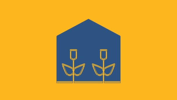Niebieski Dom Szklarnia Rośliny Ikona Izolowane Pomarańczowym Tle Animacja Graficzna — Wideo stockowe