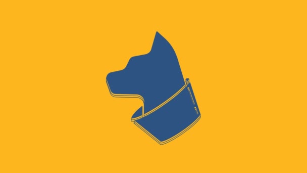 Ikona Blue Cat Izolované Oranžovém Pozadí Grafická Animace Pohybu Videa — Stock video