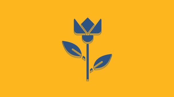 Icono Tulipán Flor Azul Aislado Sobre Fondo Naranja Animación Gráfica — Vídeo de stock