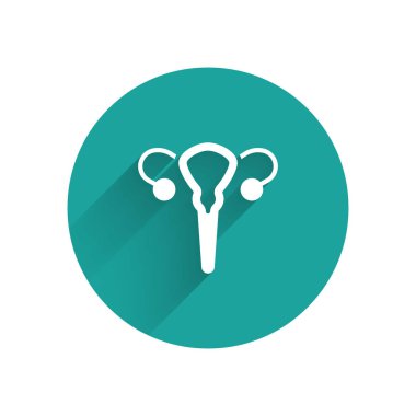 Beyaz Dişi Üreme Sistemi simgesi uzun gölge arkaplanı ile izole edildi. Anatomi. Jinekoloji. Kadın sağlığı. Yeşil daire düğmesi. Vektör