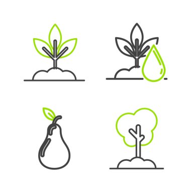 Çizgi Ağacı 'nı toprağa, Armut' u, Sulama bitkisini ve Bitki simgesini yerleştir. Vektör