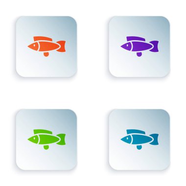 Color Fish icon isolated on white background. Set colorful icons in square buttons. Vector.