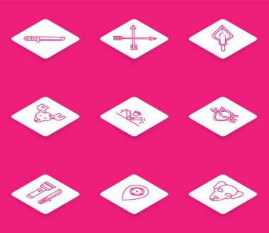 Avcı bıçağı ile çaprazlanmış oklar Hippi başı boynuzlu geyik başı kalkan fenerinde geyik boynuzu avlıyor ve simgeyi yerleştiriyor. Vektör.