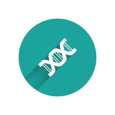 Beyaz DNA sembolü uzun gölge arkaplanı ile izole edilmiş. Yeşil daire düğmesi. Vektör