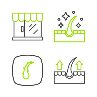 İnsan saç kökü, bakım için yağ ve berber dükkanı ikonu. Vektör