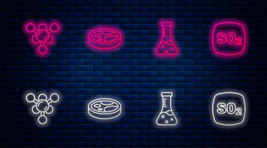 Petri kabını bakteri, test tüpü, molekül ve sülfür dioksit SO2 ile ayarla. Tuğla duvarda parlayan neon simgesi. Vektör