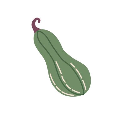 Sonbahar yeşili balkabağı, şirin el çizimi mevsimlik nesne. Vektör illüstrasyonu düz biçimi