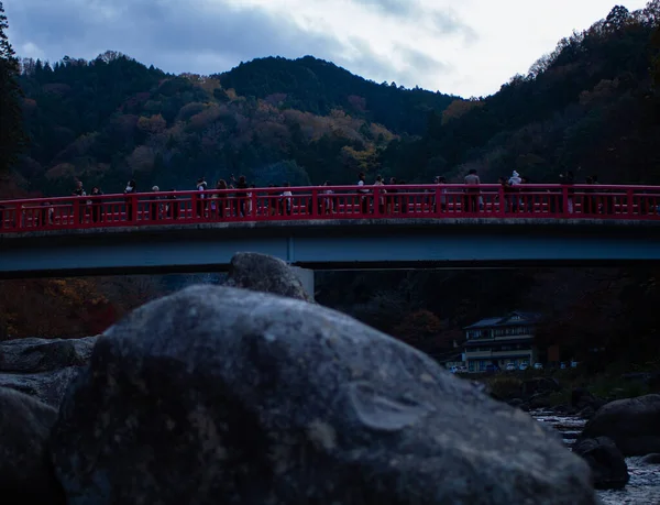 Парк Картонных Листьев Японии Аутум Японии Сезонная Смена Листьев Красный — стоковое фото