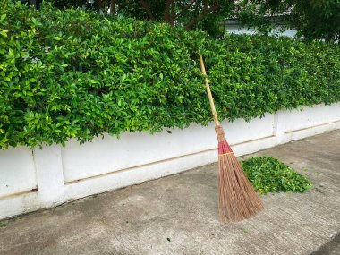 Evin beyaz duvarının yanında Asya yerel süpürgesi ve yeşil yaprak var. Bahçe yönetimi. Ev ve park