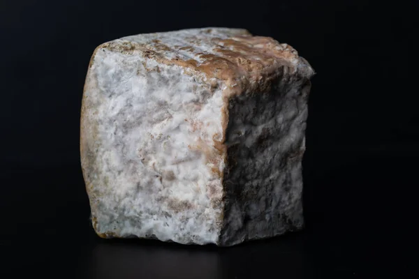 Mantar Küflü Bakteriler Tarafından Mayalanan Bir Parça Peynir — Stok fotoğraf