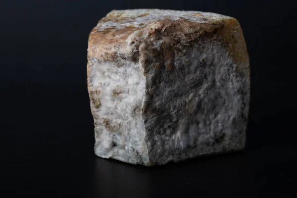 Mantar Küflü Bakteriler Tarafından Mayalanan Bir Parça Peynir — Stok fotoğraf