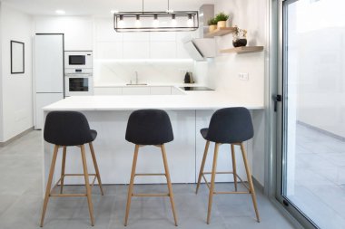 modern kitchen perfectly equipped with its appliances in a house