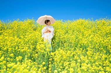 Kimono giyen Japon kadın, güzel sarı çiçeklerde ya da Japonya 'da açan Nanohana' da bahar mevsiminin tadını çıkarıyor..