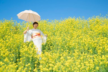 Kimono giyen Japon kadın, güzel sarı çiçeklerde ya da Japonya 'da açan Nanohana' da bahar mevsiminin tadını çıkarıyor..