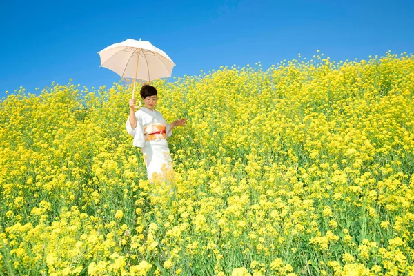 Kimono giyen Japon kadın, güzel sarı çiçeklerde ya da Japonya 'da açan Nanohana' da bahar mevsiminin tadını çıkarıyor..
