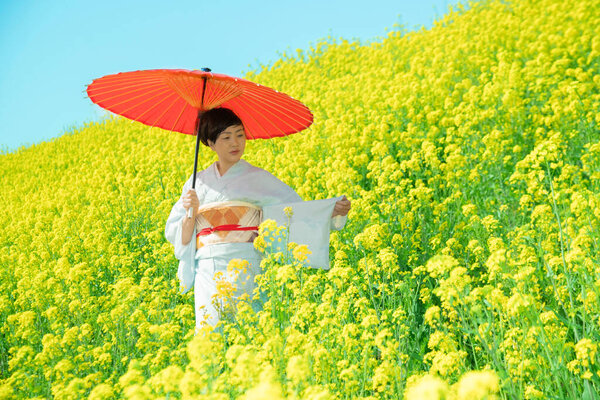 Japanese woman wearing kimono enjoys the Spring season in beautiful Yellow Flowers or Nanohana Blooming in Japan.