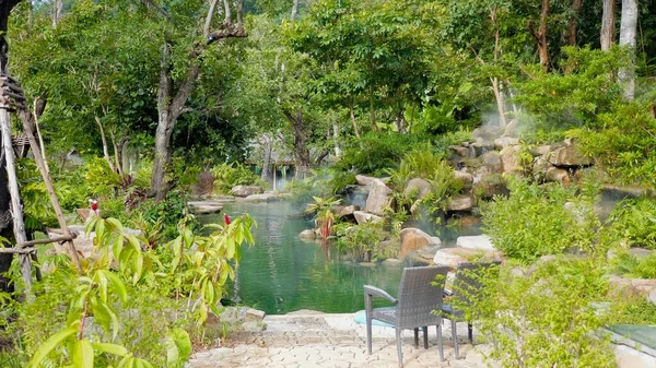 Lagoa Com Peixes Entre Árvores Verdes Tropicais Vegetação Duas Cadeiras — Fotografia de Stock