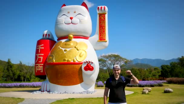 Macskát Szerencse Jólét Szimbólumának Nevezik Japánban Ember Szórakoztató Integetett Kezét — Stock videók