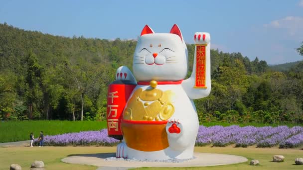 Grande Statua Del Gatto Beckoning Simbolo Buona Fortuna Prosperità Giappone — Video Stock