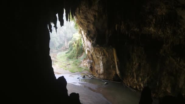 Schlucken Höhleneingang Unter Der Erde Schöne Aussicht Auf Stalaktiten Einer — Stockvideo