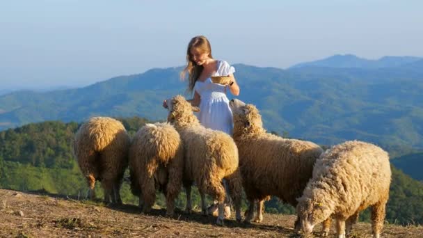 Ekscytująca Młoda Kobieta Żywiąca Się Owcami Przyrodzie Łące Górskimi Wzgórzami — Wideo stockowe