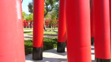 Japon parkındaki Torii kapıları. Japonya 'daki tapınakta geleneksel bir türbe. Tarihi, kutsal bir yer. Asya gezisi, seyahat rotası. Zen kavramı, sakin, kutsal yol