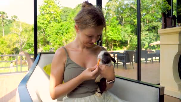 Donna Che Alimenta Piccolo Coniglio Carino Una Carota Mani Accuratamente — Video Stock
