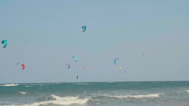 风筝板 在炎热的阳光灿烂的日子里 风筝冲浪自由泳 积极的极端水上运动 蓝色海水上的风筝冲浪或风帆冲浪 — 图库视频影像