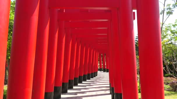 Japanse Cultuur Uitzicht Van Binnenuit Rode Torii Poorten Japans Park — Stockvideo