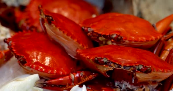 Hieno Ruokapöytä Ylellisessä Ravintolassa Keitetyn Tai Höyrytetyn Red Crab Aterian — kuvapankkivideo