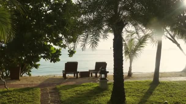 Palmeras Tailandia Con Una Playa Arena Vacía Con Tumbonas Amanecer — Vídeo de stock