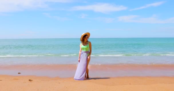 Attractive Woman Swimwear Beach Ocean Relaxes Vacation Calm Serenity Exotic — Stock Video