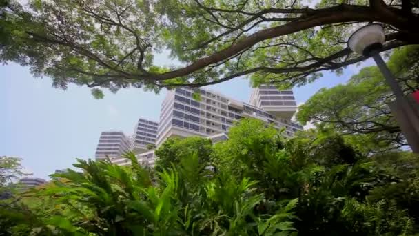 Çağdaş Modern Apartmanlar Tropikal Ağaçlar Arasında Eşsiz Bir Tasarıma Sahip — Stok video