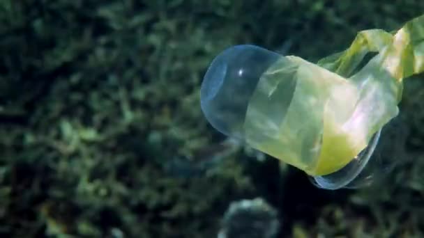 Contaminación Oceánica Bolsa Plástico Taza Flotando Agua Mar Con Tortuga — Vídeo de stock