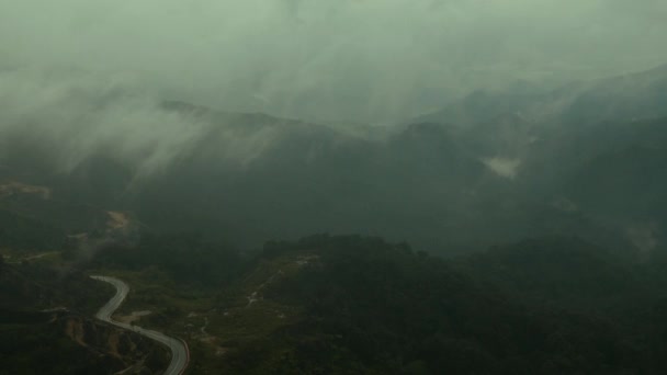 在森林上空飘扬的薄雾在山区环境中形成了美丽的自然景观 风景既是戏剧又是风景 — 图库视频影像