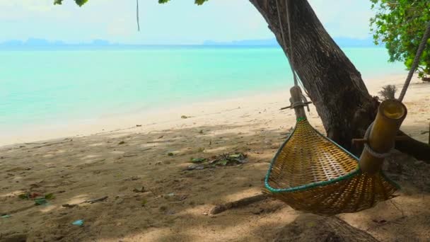 熱帯の木々と波の穏やかな音に囲まれたターコイズブルーの水で夏の海のビーチでハンモックの平和と静けさ 完璧な旅行休暇 — ストック動画