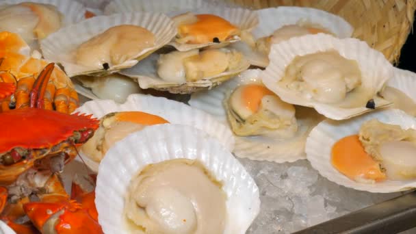 Meeresfrüchte Luxusrestaurant Gesunde Ernährung Frische Jakobsmuscheln Auf Muscheln Und Gekochte — Stockvideo