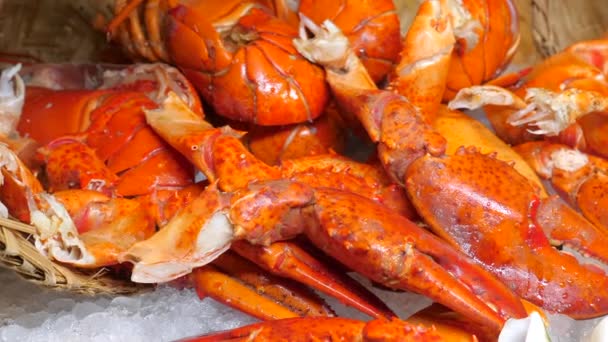 有海鲜的餐桌 在豪华酒店餐厅的冰上展示新鲜煮熟的龙虾 节日海鲜自助餐 健康的地中海食品 — 图库视频影像