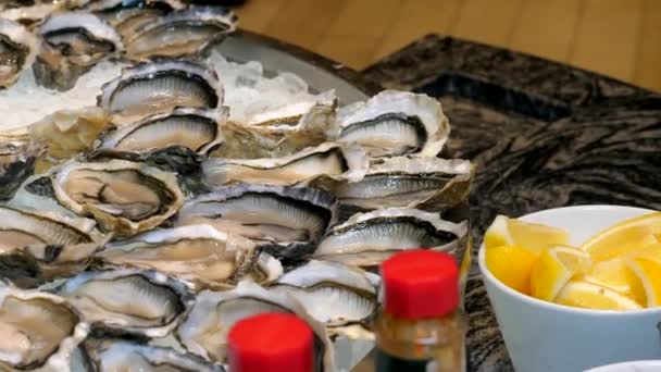 Delicious Fresh Oyster Dish Buffet Restaurant Oysters Bed Ice Served — Stock Video