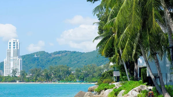 Beach Coconut Palm Trees Beautiful Tropical Beach Blue Sky Modern — Stock Photo, Image