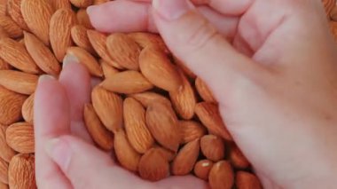Kadın elinin makro pozu bütün bademleri tutar, lezzetli ve çıtır çıtır bir atıştırmalık. Protein ve vitamin açısından zengin, kurutulmuş tohumlar, dengeli beslenme. Gurme ve sağlıklı beslenme kavramı.