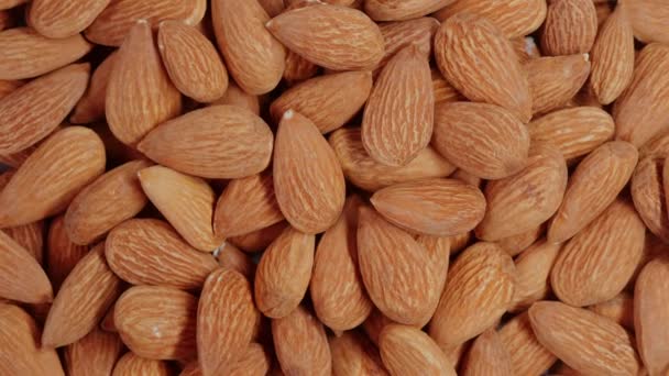 果皮杏仁的特写 含有蛋白质和维生素的松脆的小吃 健康饮食和营养的概念 — 图库视频影像