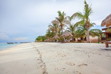 Turkuaz suyu ve palmiye ağacı plajı olan tropik bir sahil. Beyaz kumdan huzurlu cennet, berrak mavi deniz ve yemyeşil. Huzurlu tatil ve doğal güzellik kavramı.