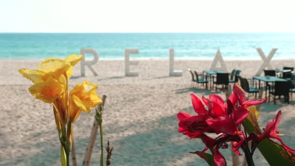 Paradise Beach Ontsnapping Luxe Resort Met Wit Zandstrand Kristalblauwe Zee — Stockvideo