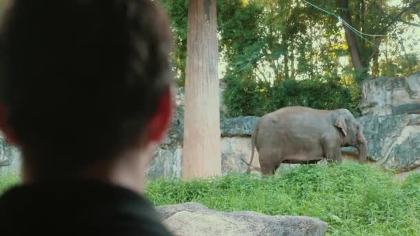Wildlife Safari Man Ontmoet Aziatische Olifant Thais Park Toerist Observeert — Stockvideo